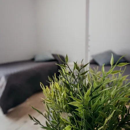 Apartamento Fcoairporthouse Fiumicino